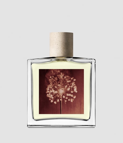 Buy Incense City, 100ml Eau De Perfum AllSaints UAE